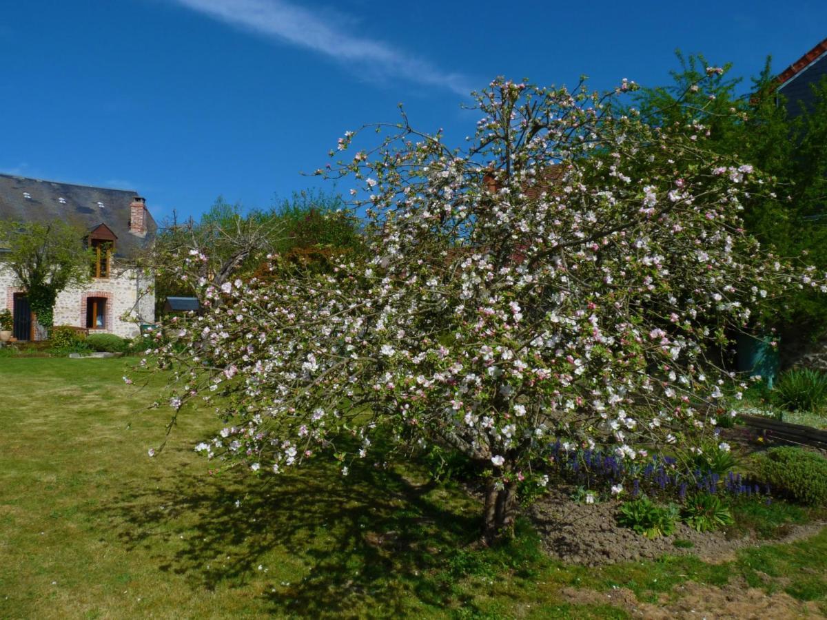 Een Prachtige Gite In Frankrijk Chez Gerard Vieilleville ภายนอก รูปภาพ